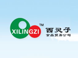 東莞市西靈子食品貿易 開啟飲料行業新商機，火爆糖酒食品招商網助力代理合作